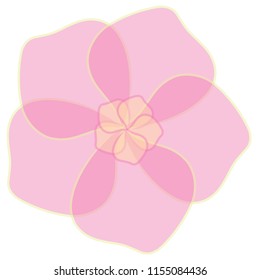 pink hibiscus with transparent core