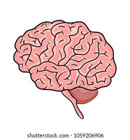 Pink human brain icon, isolated on white background