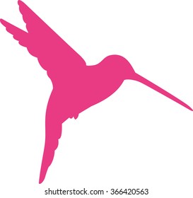Pink hummingbird