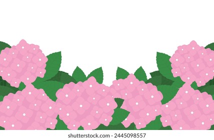 pink hydrangea flower background illustration frame