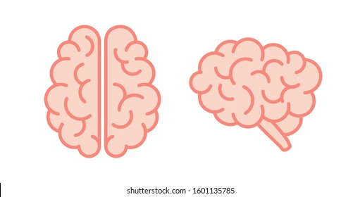 Pink icons of human brain. Lateral and superior views of cerebrum. Vector illustration in flat style are isolated on white background.