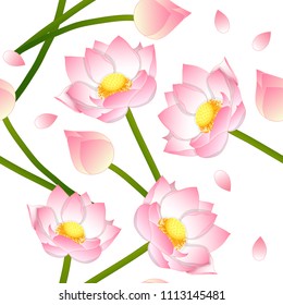 Pink Indian lotus on White Background. Vector Illustration.