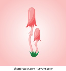 Pink inedible mushrooms, toadstools, vector illustration, pattern