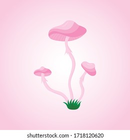 Pink inedible mushrooms, toadstools, vector illustration