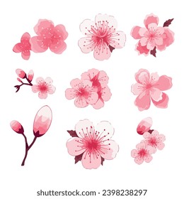 Vector de flores de cerezo japonés rosado. flor de cerezo sakura japonesa