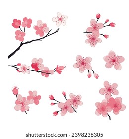 Vector de flores de cerezo japonés rosado. flor de cerezo sakura japonesa