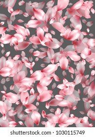 Pink japanese cherry flower parts blossom petals flying vector elements isolated on grey background illustration. Flying flower elements wedding invitation petals pattern, valentine background.