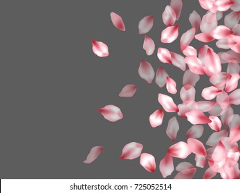 Pink japanese cherry flower parts blossom petals flying vector elements isolated on grey background illustration. Flying flower elements wedding invitation petals pattern, valentine background.