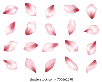 Pink  japanese cherry flower petals isolated on white background vector set. Spring pink blossom petals. Sakura or apple bloom parts confetti elements collection, flower parts realistic illustration.