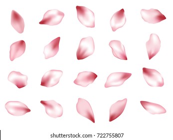 Pink  japanese cherry flower petals isolated on white background vector set. Spring pink blossom petals. Sakura or apple bloom parts confetti elements collection, flower parts realistic illustration.