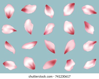 Pink  japanese cherry flower petals isolated on blue background vector set. Spring pink blossom petals. Sakura or peach bloom parts confetti elements collection, flower parts realistic illustration.