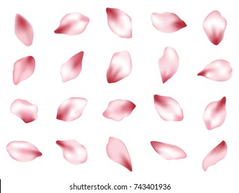 Pink  japanese cherry flower petals isolated on white background vector set. Spring pink blossom petals. Sakura or apple bloom parts confetti elements collection, flower parts realistic illustration.