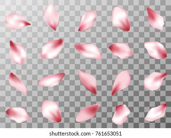 Pink  japanese cherry flower petals isolated on grid transparent background vector set. Spring pink blossom petals. Sakura bloom parts confetti elements collection, flower parts realistic illustration