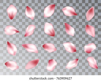 Pink  japanese cherry flower petals isolated on grid transparent background vector set. Spring pink blossom petals. Sakura bloom parts confetti elements collection, flower parts realistic illustration