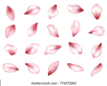 Pink  japanese cherry flower petals isolated on white background vector set. Spring pink blossom petals. Sakura or apple bloom parts confetti elements collection, flower parts realistic illustration.