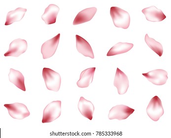 Pink  japanese cherry flower petals isolated on white background vector set. Spring pink blossom petals. Sakura or apple bloom parts confetti elements collection, flower parts realistic illustration.
