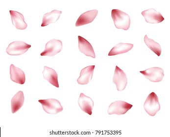 Pink  japanese cherry flower petals isolated on white background vector set. Spring pink blossom petals. Sakura or apple bloom parts confetti elements collection, flower parts realistic illustration.