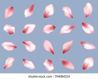 Pink  japanese cherry flower petals isolated on blue background vector set. Spring pink blossom petals. Sakura or peach bloom parts confetti elements collection, flower parts realistic illustration.