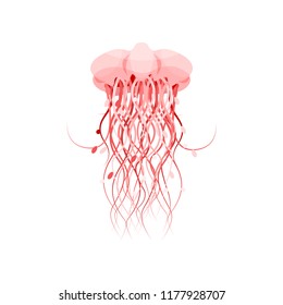 Pink jellyfish, beautiful sea creature vector Illustration on a white background