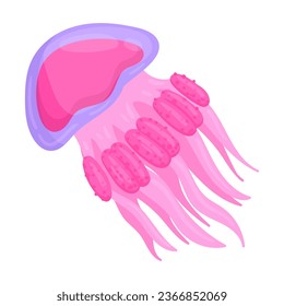 Pink jellyfish. Cartoon underwater animal, cute ocean jellyfish floating in water flat vector illustration. Undersea fauna