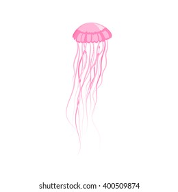 Pink jellyfish floating in space. Gelatinous pink jellyfish with long tentacles isolated on white background. Marine creature floating in the water. Inhabitant of underwater world. Vector illustration