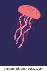 Pink jellyfish on blue background. Detailed cartoon sea jelly. Vector illustration