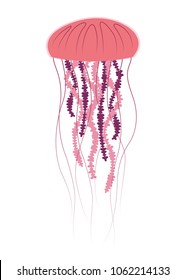 Pink jellyfish on whte background. Detailed cartoon sea jelly. Vector illustration