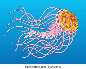 Pink jellyfish swimming in blue water