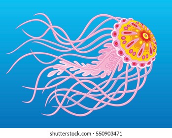 Pink jellyfish swimming in blue water