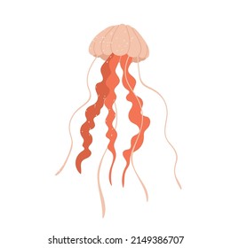 Pink jellyfish with trailing tentacles. Swimming marine animal. Sea or ocean transparent creatures aesthetic. Vector illustration in cartoon style. Isolated pink background.