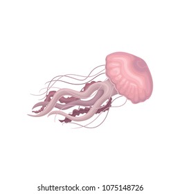 Pink jellyfish vector Illustration on a white background