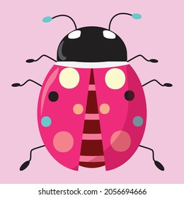 Pink lady bug on pink background. Cute bug. 