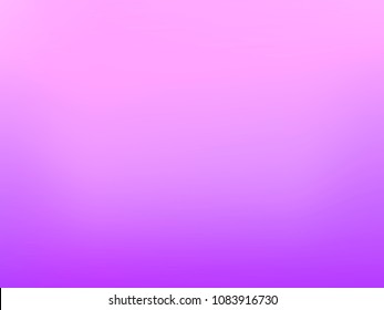 Pink Lavender Spring Crocus