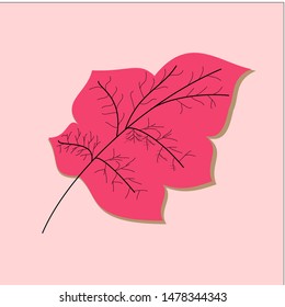 Pink leaf with pink background, suitable for greeting cards