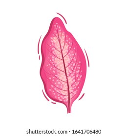 Pink Leaf Decorative Vector Element Isolated on White Background