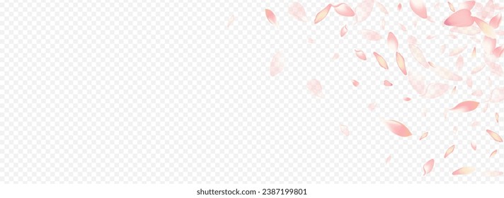 Pink Leaf Vector Panoramic Transparent Background. Rosa Wind Texture. Cherry Feminine Poster. Blossom Wedding Cover. White Apple Blow Pattern.