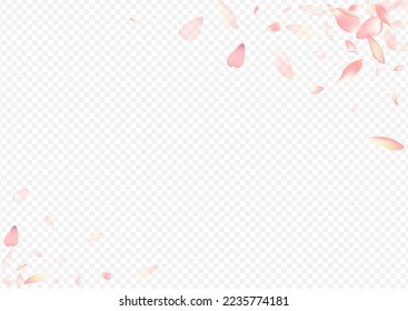 Pink Leaf Vector Transparent Background. Bloom Flutter Congratulation. Blossom Realistic Design. Heart Spring Banner. Light Floral Falling Texture.