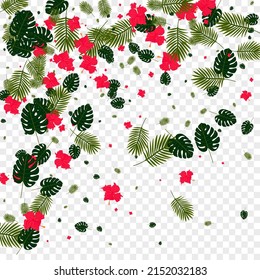 Pink Leaves Background Transparent Vector. Palm Trendy Design. Light Green Plant. Branch Frame. Red Safari Texture.