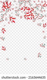 Pink Leaves Background Transparent Vector. Berries Cartoon Card. Burgundy Rowan. Red Foliage Landscape. Object Texture.