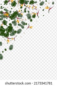 Pink Leaves Background Transparent Vector. Palm Surf Backdrop. Red Monstera. Vacation Texture. Yellow Nature Pattern.