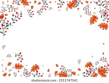 Pink Leaves Background White Vector. Leaf Nature Design. Burgundy Berries Abstract. Simple Illustration. Rowan Outline.