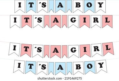 Pink and light blue Its a boy, its a girl banner on a white background