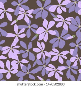 Pink and lilac clematis on brown background seamless pattern