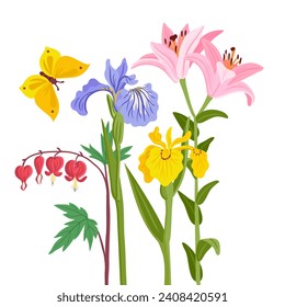 pink lilies, irises and dicentra, vector drawing flowers and butterfly at white background, hand drawn botanical illustration