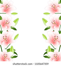 Pink Lilium candidum, the Madonna lily Border on White Background. Vector Illustration.