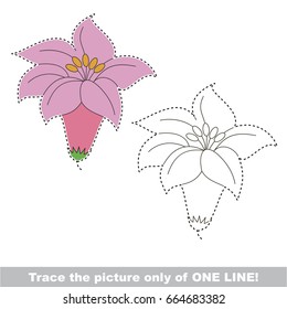 Pink Lily to be traced only of one line, the tracing educational game to preschool kids with easy game level, the colorful and colorless version.