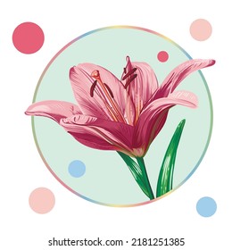Pink lily flower in a round frame with colorful peas. Green leaves, open buds, closed buds, pink flowers. Realistic vector graphics.