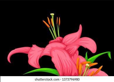 Pink lily flower vector isolated on black background