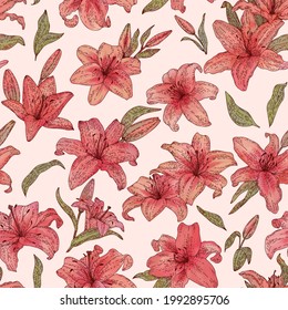 Flores lirio rosadas sin fisuras. Colección de ilustraciones de estilo de boceto dibujado a mano con doodle vector aislado. Ilustración botánica para embalaje, tarjetas de menú, carteles, impresiones.