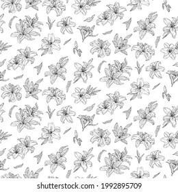 Pink Lily flowers seamless pattern. Vector doodle hand drawn sketch style illustrations collection isolated. Botanical illustration for packaging, menu cards, posters, prints.